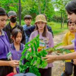 ศูนย์แม่ข่ายประสานงาน อพ.สธ. - จฬ. ร่วมกับสำนักงานศึกษาธิการจังหวัดลพบุรี จัดกิจกรรม ค่าย “แกนนำงานสวนพฤกษศาสตร์โรงเรียนอนุรักษ์พืชพันธุ์ไม้หายาก” รุ่นที่ 2
